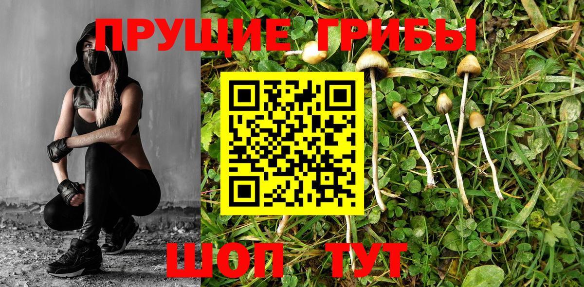 Галлюциногенные грибы ЛСД Тольятти