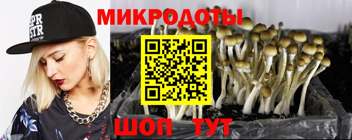Псилоцибиновые грибы Psilocybine cubensis  Вход с VPN  Тольятти 