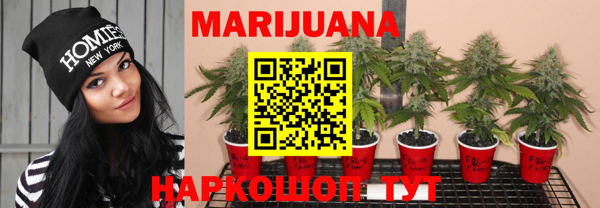 Конопля конопля  Бошки марихуана индика  Тольятти  Шишки марихуана OG Kush  Вход с VPN 